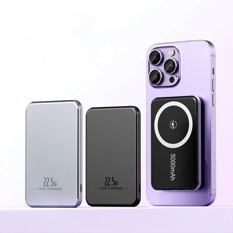 Power-Bank POLARCASE